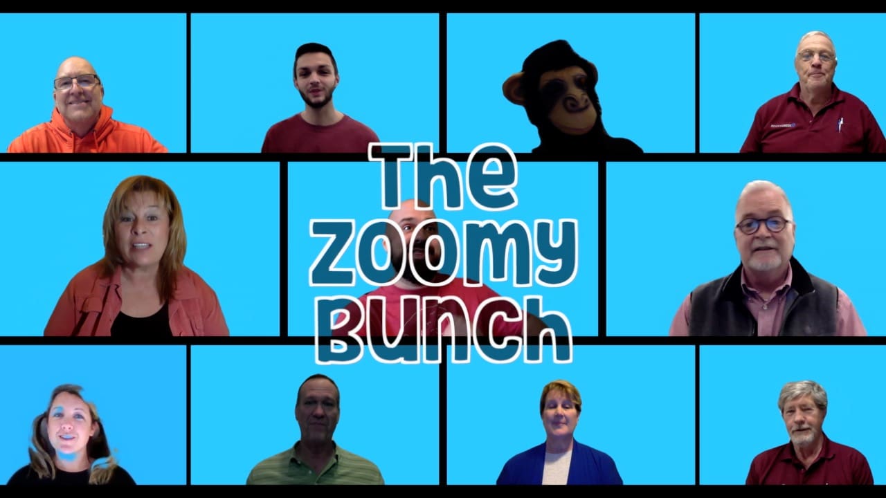 The Zoomy Bunch