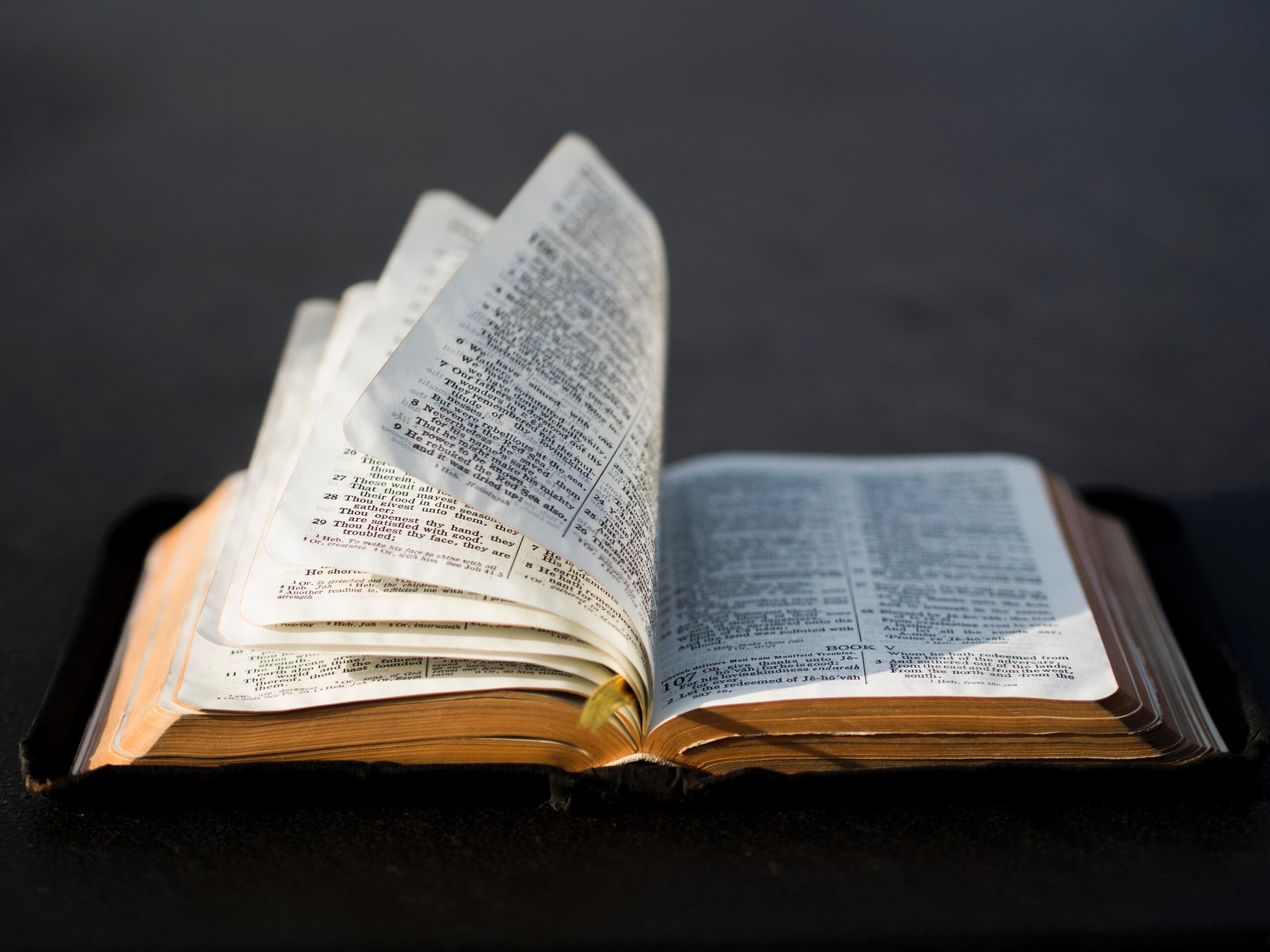 Studying God’s Word Intentionally